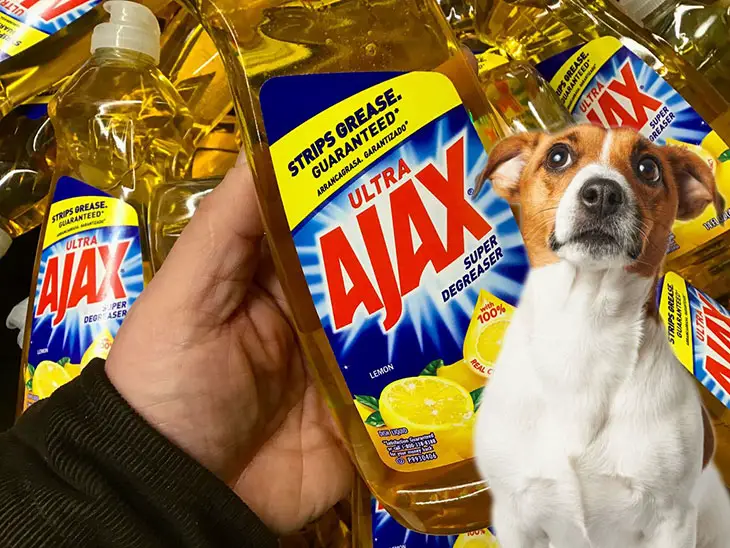 is ajax dish soap safe for dogs