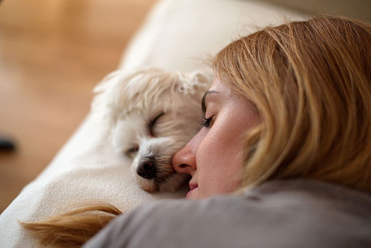 my dog won't sleep without me