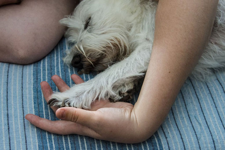 puppy won't sleep unless next to me
