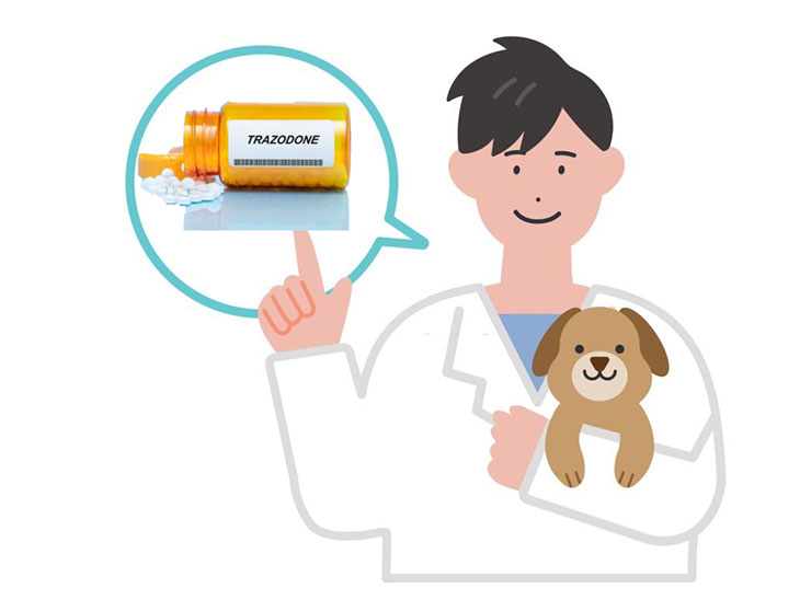 trazodone for dogs thunderstorms