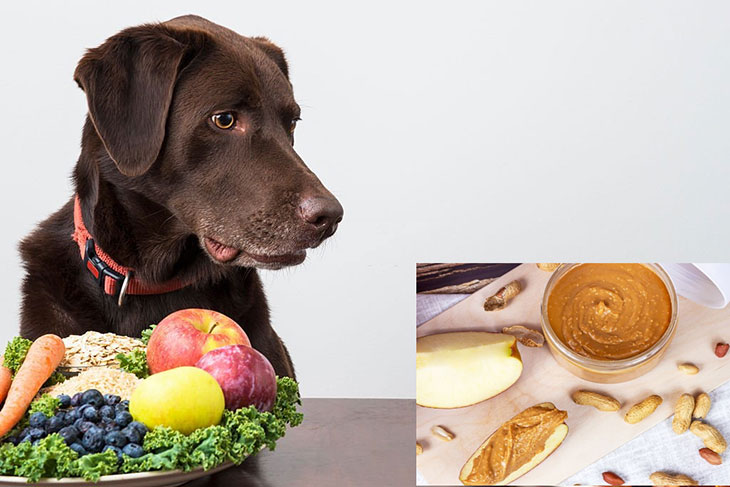What if a dog eats peanut butter
