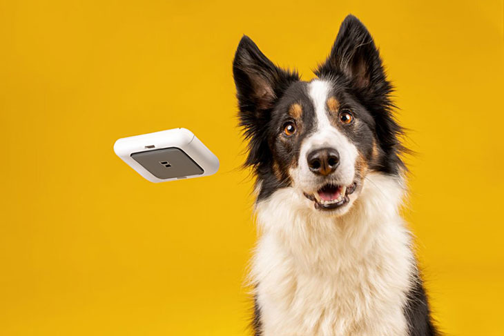 dog ate my airpods