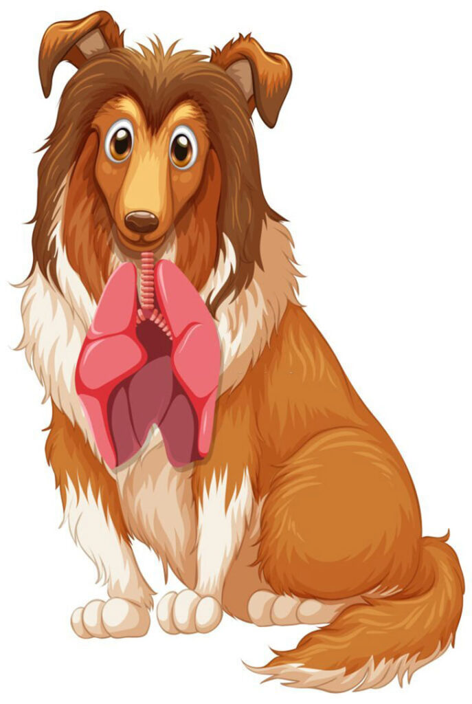 treatment for dog pneumonia