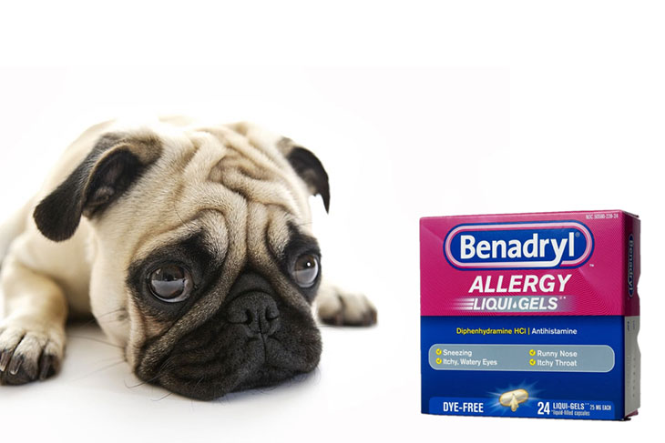 What kind of liquid Benadryl can I give my dog