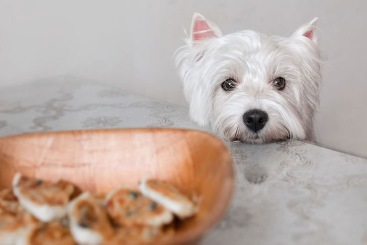 can dogs have crab cakes