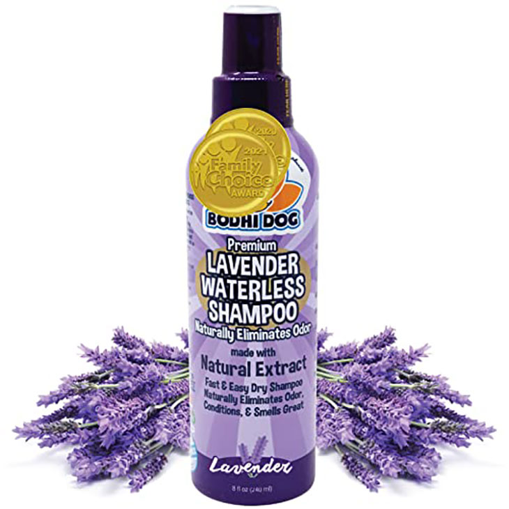 does lavender help dogs sleep