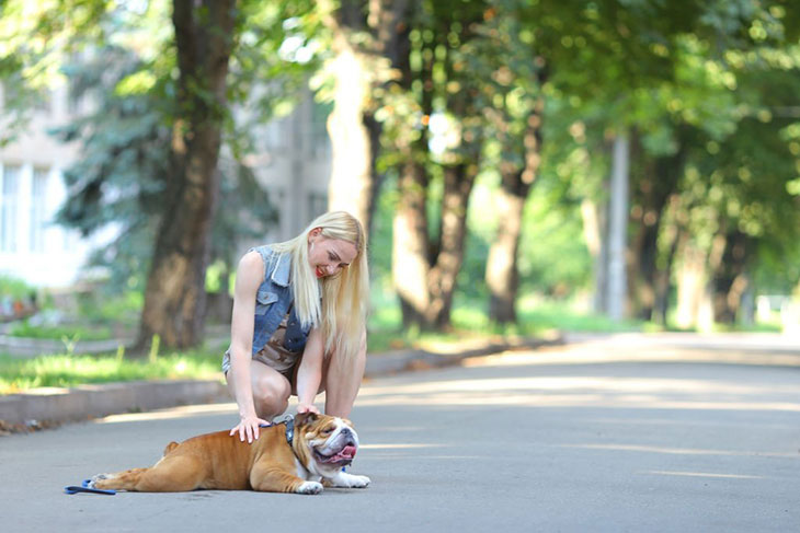dog having trouble walking and not eating