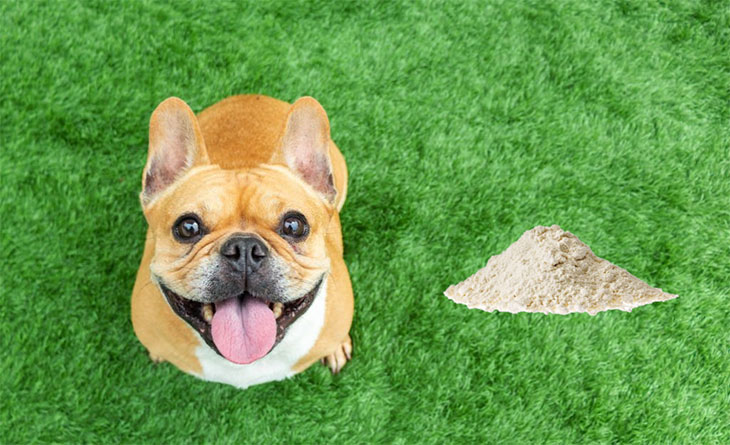 is lime powder harmful to dogs
