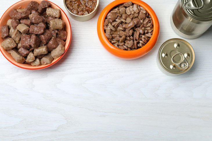 Can I make dry dog food at home