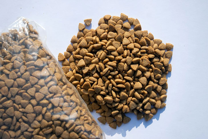 Can you vacuum seal dry food