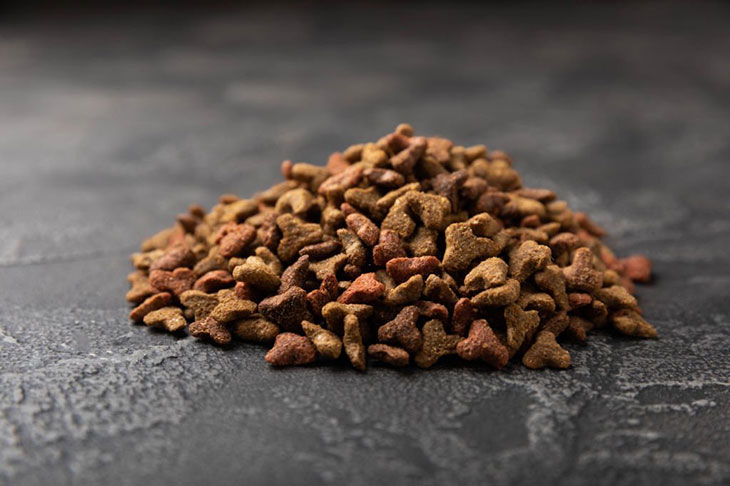 Do dogs prefer treats or food
