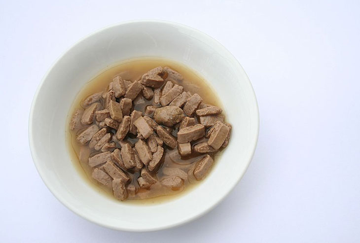Do you mix water with wet dog food