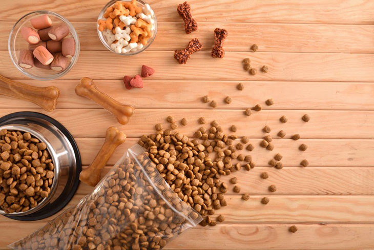Is it OK to feed a dog dry food only