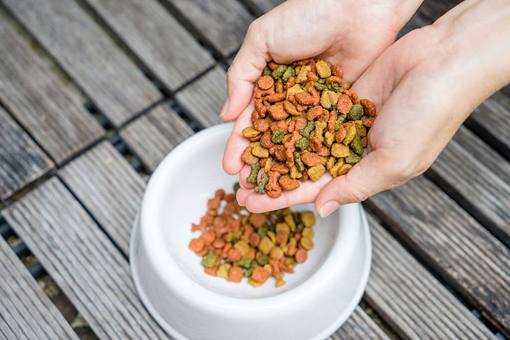 Why is dry dog food called kibble