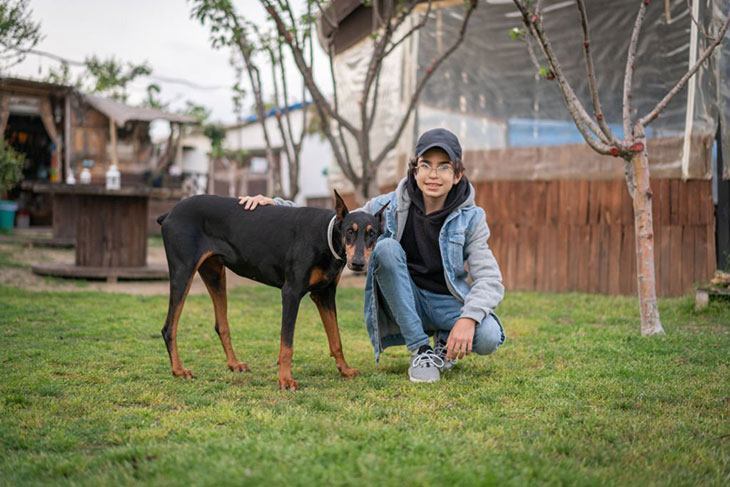 doberman activity level