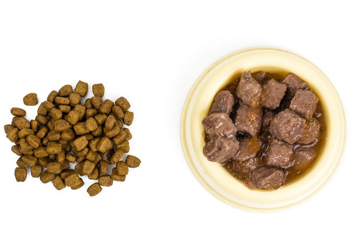 mixing dry and wet dog food