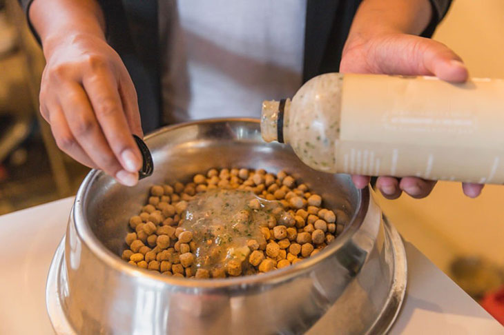 things to add to dry dog food