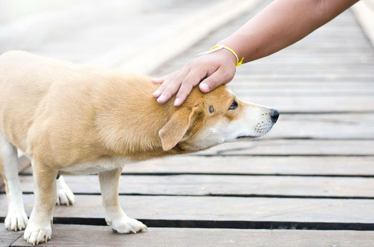 Tips For Safe And Enjoyable Scratching