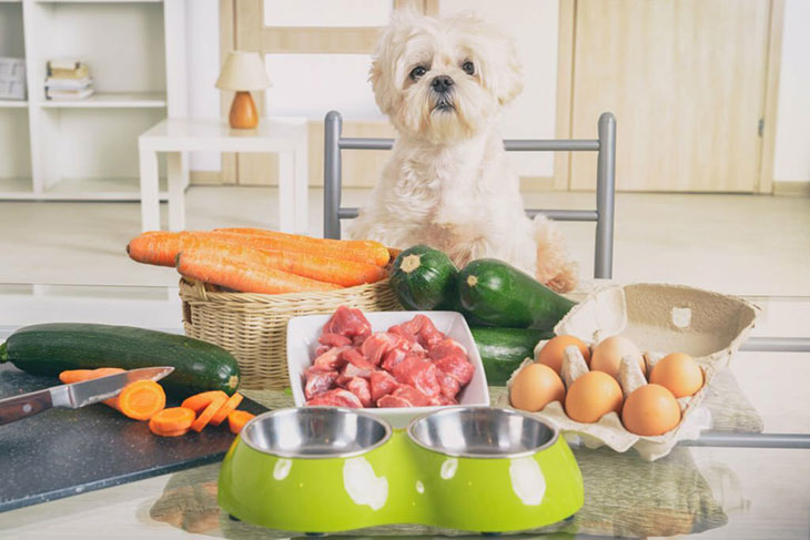What Are The Essential Raw Dog Food Supplements