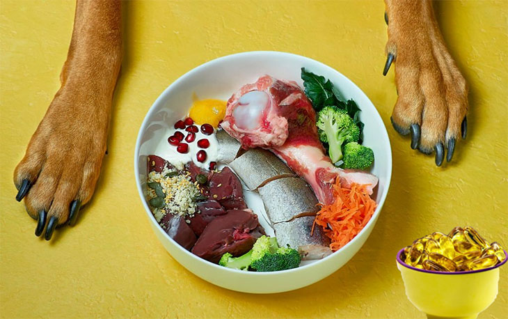 raw dog food supplements
