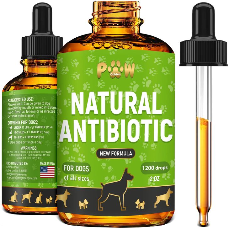 Administering veterinary antibiotic for dog nail infection