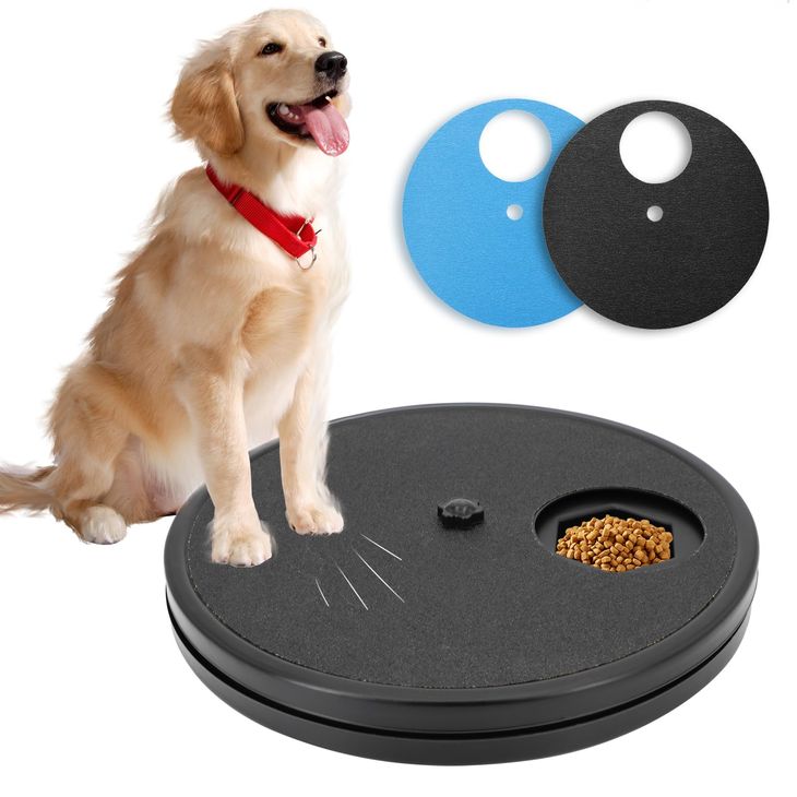 best dog nail file board and grooming tools evaluated for pet safety