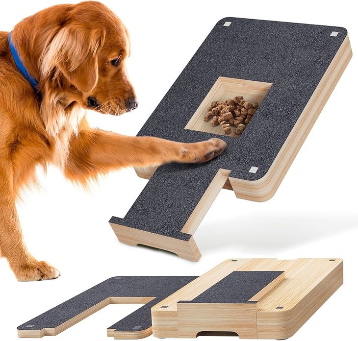 A pet parent holding a dog's paw to demonstrate how to file dog nails with an emery board safely