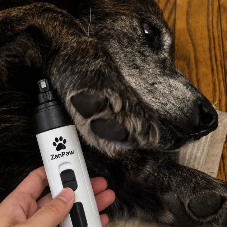 A lightweight cordless dog nail grinder being held next to a puppy paw