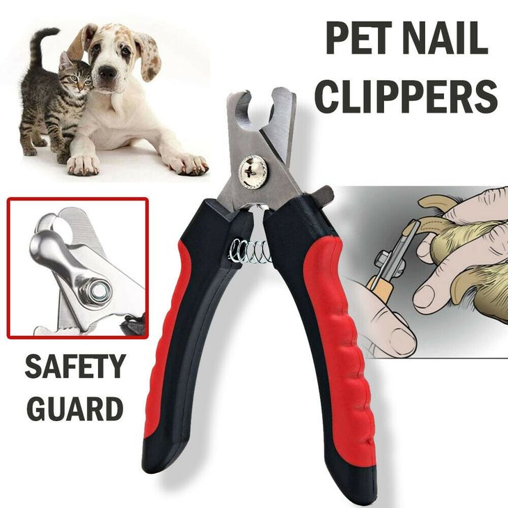 A dog nail clippers with safety guard being shown next to a dog's paw.