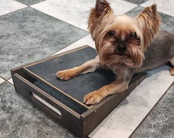 A happy dog sitting beside natural nail file toys and safe grooming accessories