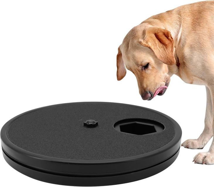 A wooden interactive dog scratch box with a sliding compartment showing how to teach a dog to file its own claws