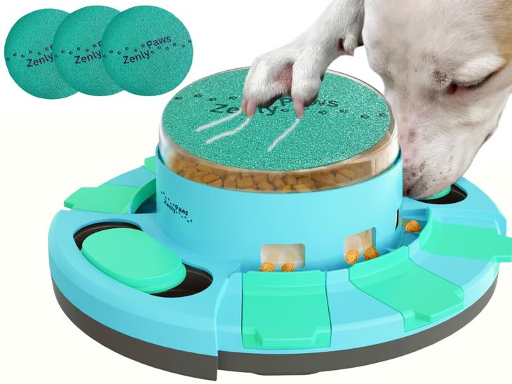 canine nail anatomy with details on the location of the sensitive quick