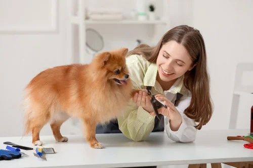 in home dog nail trimming near me paw care