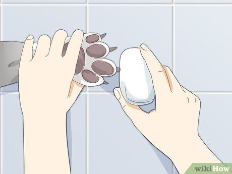 soap to stop dog nail bleeding