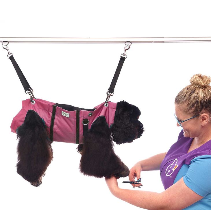 wrap dog in towel to cut nails
